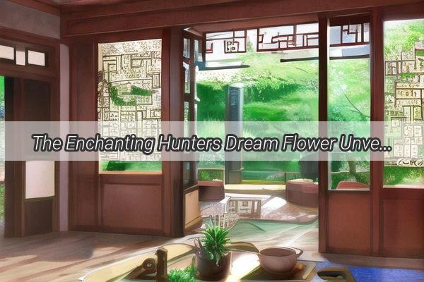 The Enchanting Hunters Dream Flower Unveiling the Mysteries of Natures Hidden Gem